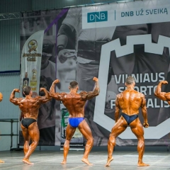 Vilniaus sporto festivalis 2014