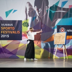 Vilniaus sporto festivalis 2015